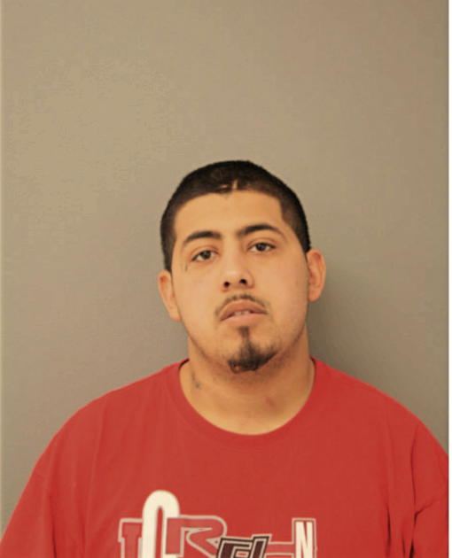 GUILLERMO ZAMUDIO, Cook County, Illinois