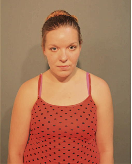 LEELA A ANDERSON, Cook County, Illinois