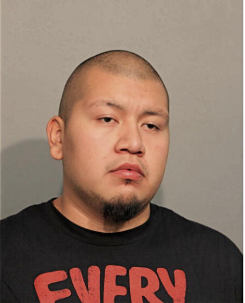 JESSE ARROYO, Cook County, Illinois