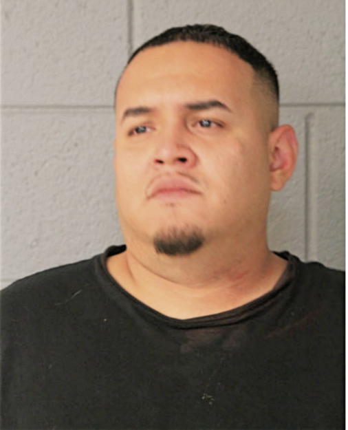 DYANGO F BANUELOS, Cook County, Illinois