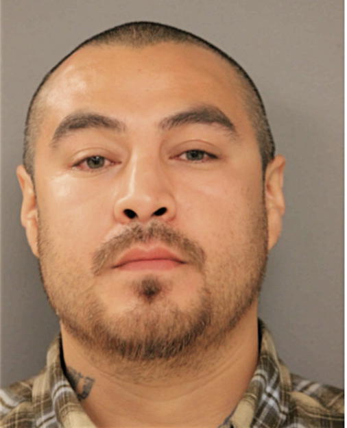CESAR A BRAVO, Cook County, Illinois