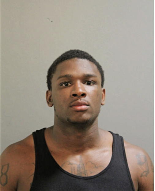 DEWAYNE D BROWN, Cook County, Illinois