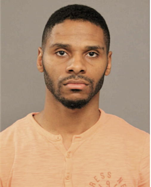 MICHAEL P CHANEY, Cook County, Illinois
