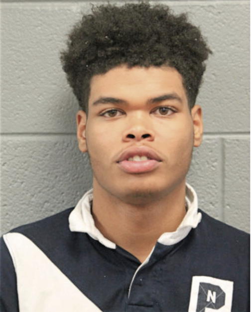 CAMARIE ELAM, Cook County, Illinois