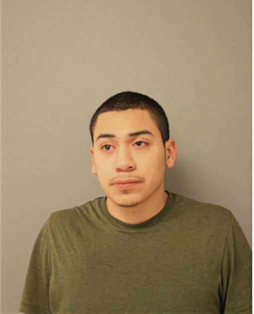 NICHOLAS R GUERRERO, Cook County, Illinois