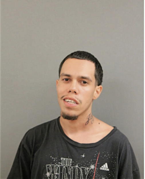 LUIS R HERNANEZ, Cook County, Illinois
