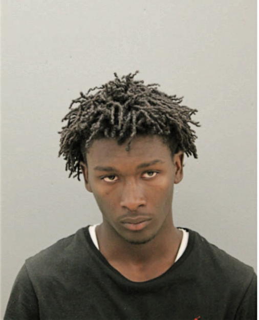 DAVONTAE D HOLMES, Cook County, Illinois