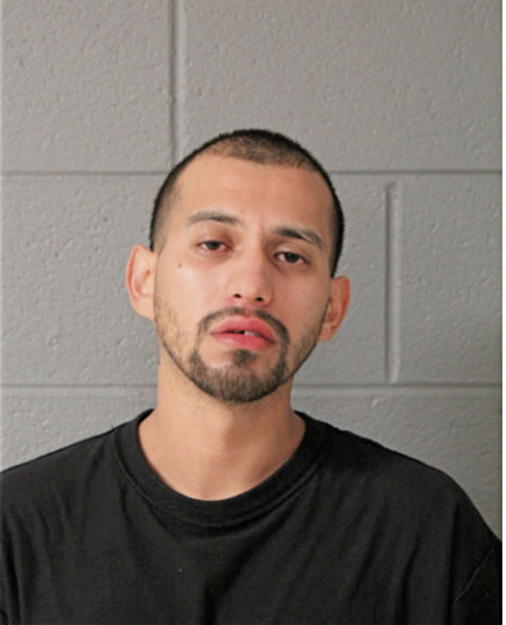 MIGUEL A ISLAS, Cook County, Illinois