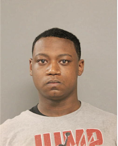 DOMINIQUE J JACKSON, Cook County, Illinois