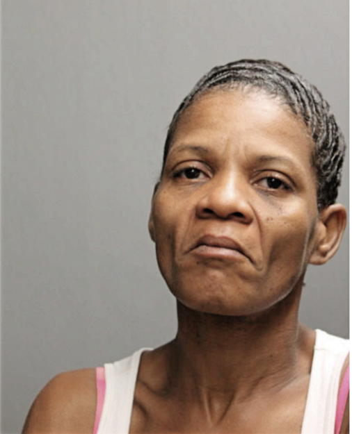 LAVORNE JAMISON-ARNONE, Cook County, Illinois
