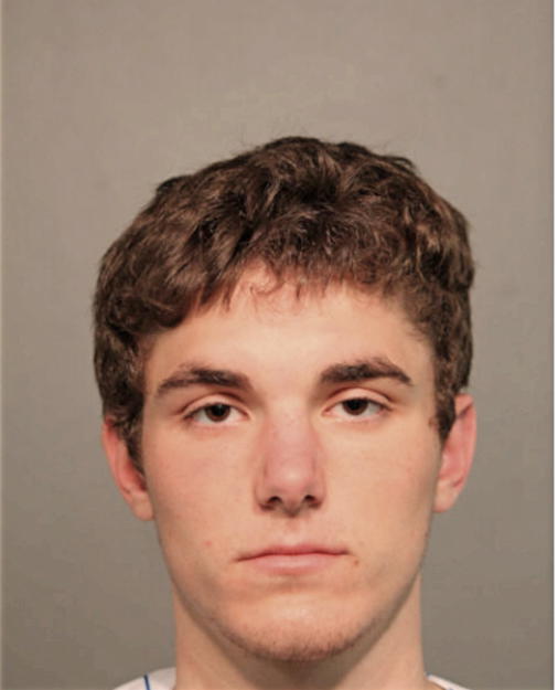 MATTHEW J KARL, Cook County, Illinois