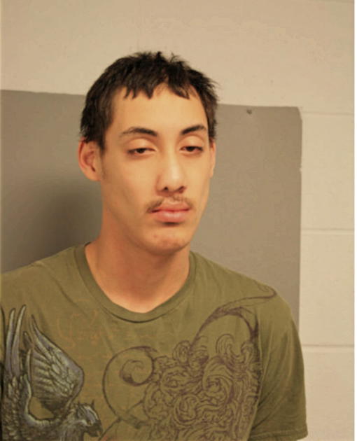 ANTHONY LEWIS, Cook County, Illinois