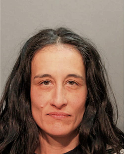 MARIA H LOZOYA, Cook County, Illinois