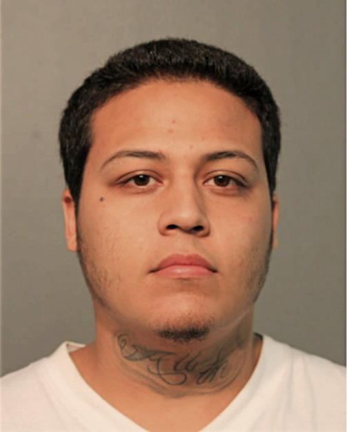 DAVID A MARTINEZ, Cook County, Illinois