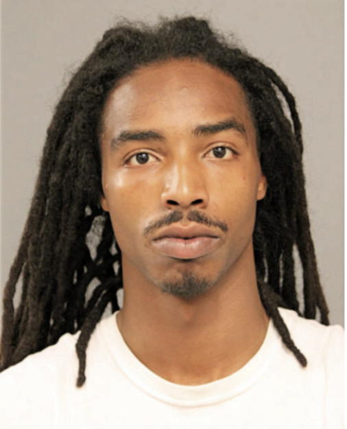 LENARD J MCKINNIS, Cook County, Illinois