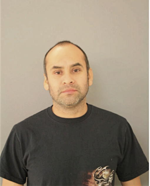 JOSE A MENESES, Cook County, Illinois