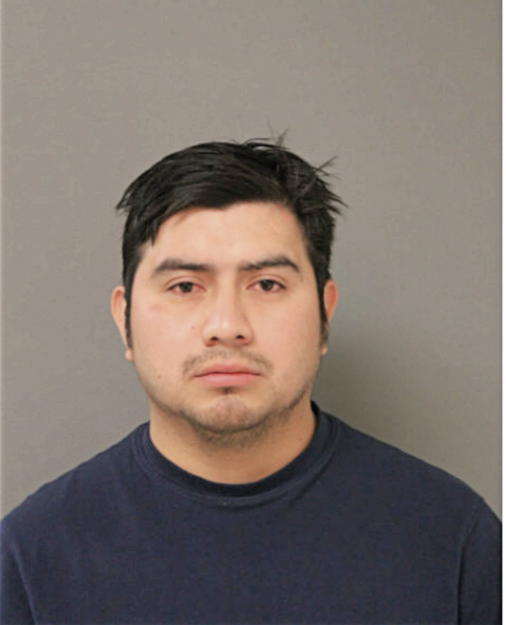 ELMER OVIDIO NAVARRO-PAZ, Cook County, Illinois