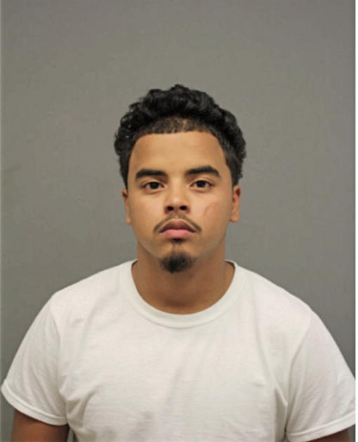 CHRISTOPHER A NUNEZ, Cook County, Illinois