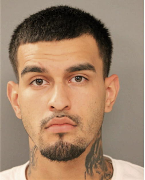 ANGEL L RAMOS, Cook County, Illinois