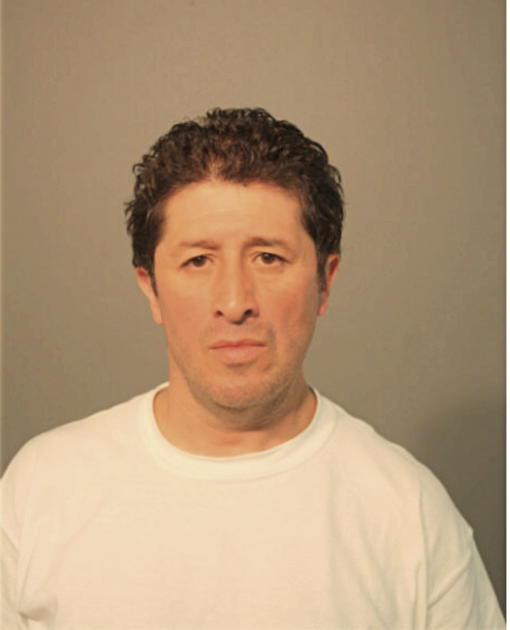 LUIS A ROMAN, Cook County, Illinois