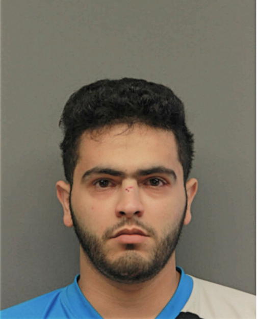 LAITH AHMAD ROMMAN, Cook County, Illinois