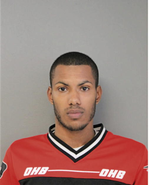 CHRISTIAN N WARD, Cook County, Illinois