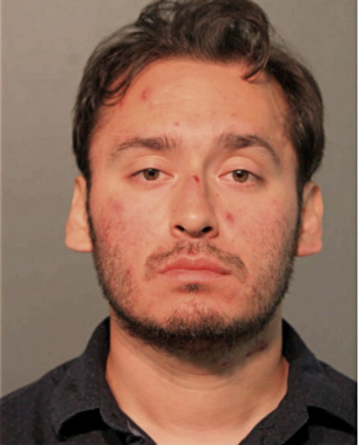 ALVIZO WILLIAMS, Cook County, Illinois