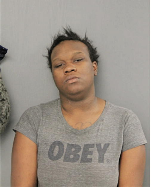 AMANDA L WILLINGHAM, Cook County, Illinois