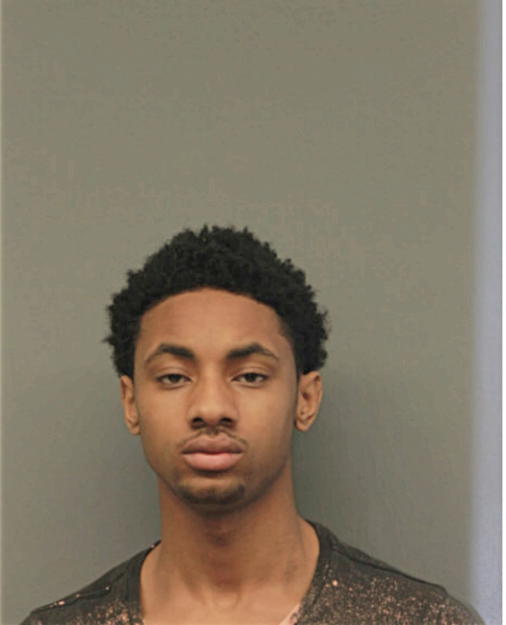 ORLANDO L WILSON, Cook County, Illinois