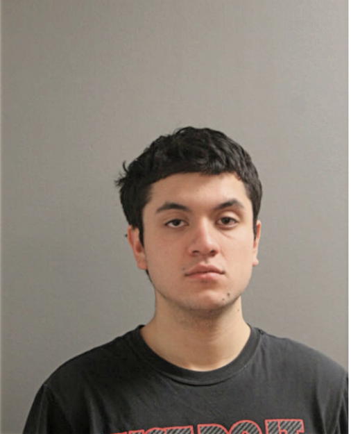 CESAR ZARAGOZA, Cook County, Illinois