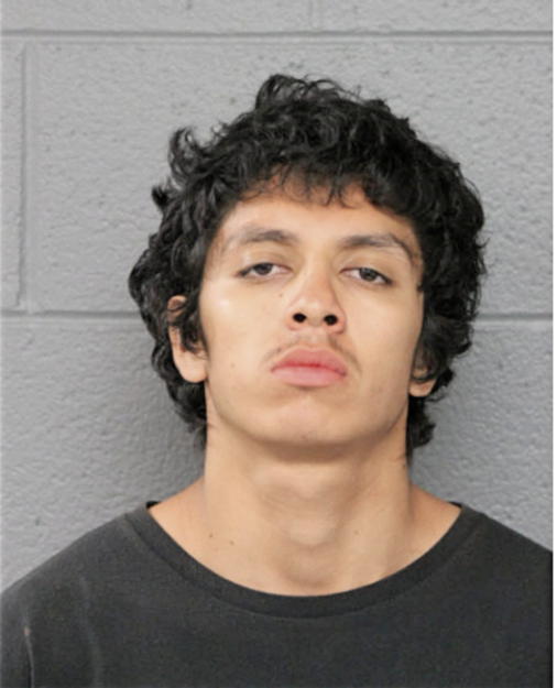 ALBERTO U ALONSO, Cook County, Illinois