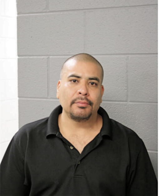 CARLOS CASILLAS, Cook County, Illinois