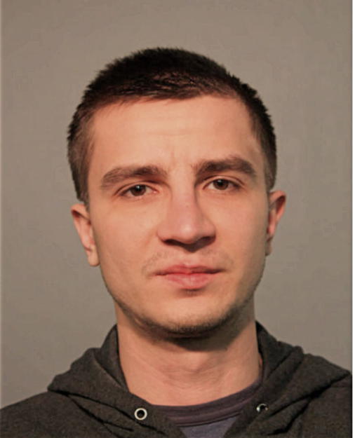 ENES CAUSEVIC, Cook County, Illinois