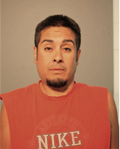 DAVID E DIAZ, Cook County, Illinois