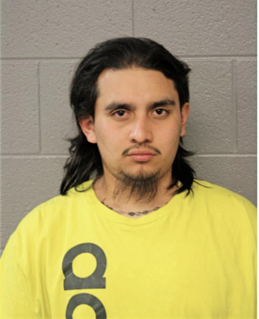 ENRIQUE OCHOA FUENTES, Cook County, Illinois