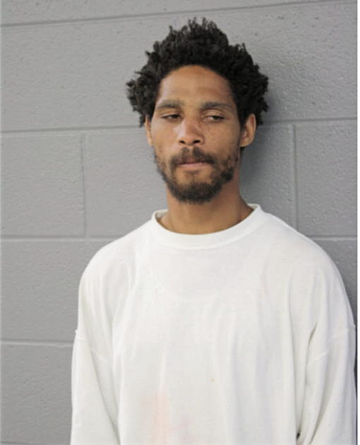 CHARLES E HUNTER, Cook County, Illinois