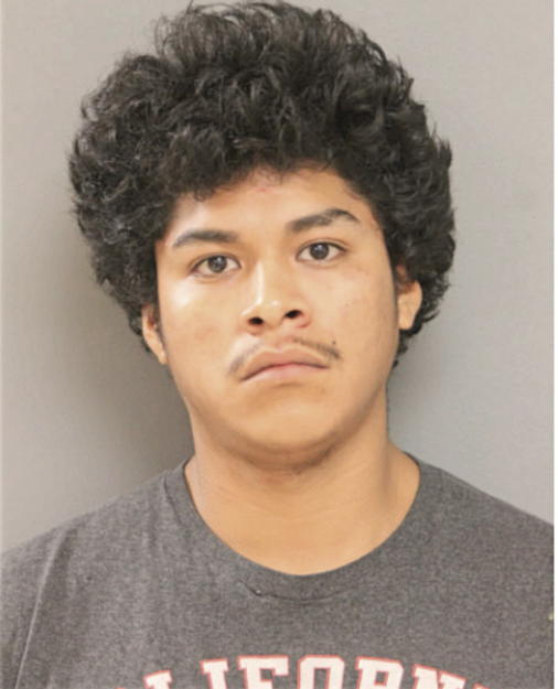 LUIS E LOPEZ-SALINAS, Cook County, Illinois