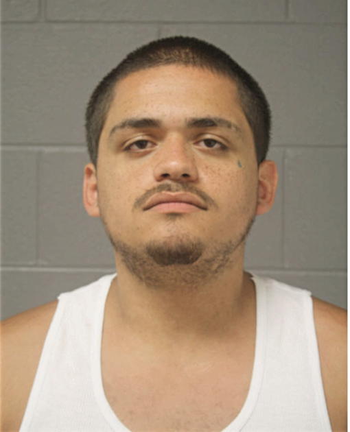 CARLOS G MONTANEZ, Cook County, Illinois