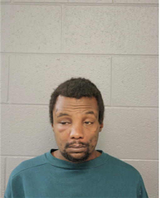 TERRANCE T NELSON, Cook County, Illinois