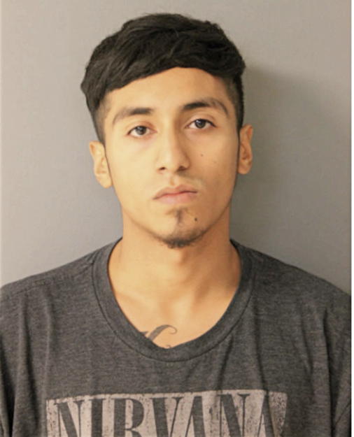 DIEGO R PEREZ, Cook County, Illinois