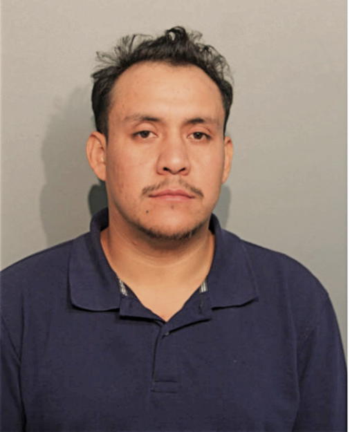 ALFREDO REYES-LEON, Cook County, Illinois