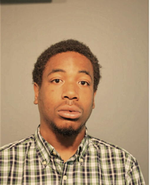 DAMIEN S RICHARDSON, Cook County, Illinois