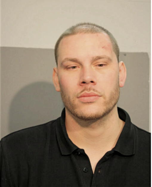 MICHAEL S SCHMIDT, Cook County, Illinois