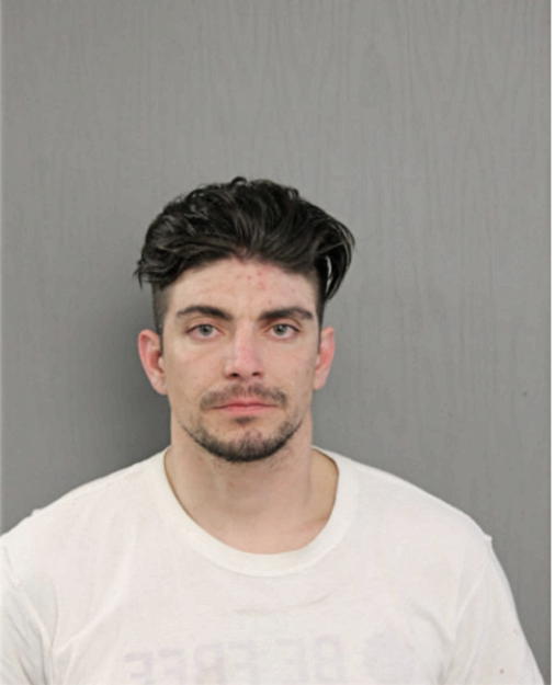 GABRIEL J SETTECASE, Cook County, Illinois