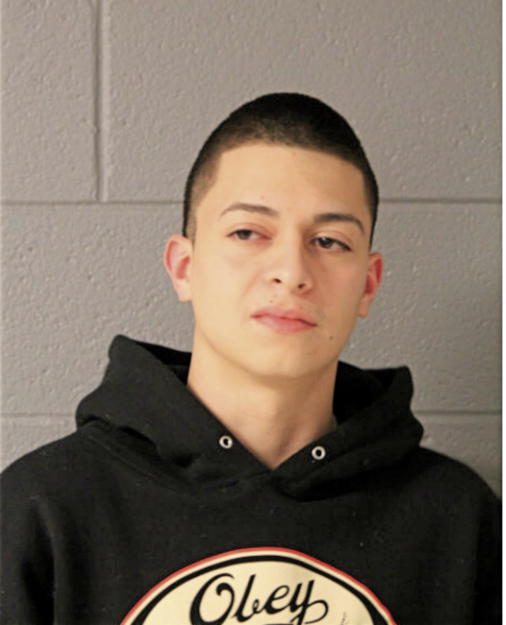 JAVIER I SILVA, Cook County, Illinois