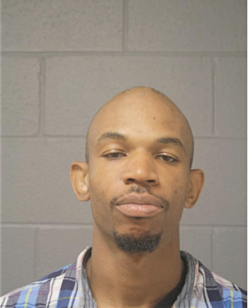 MICHAEL A SMITH, Cook County, Illinois