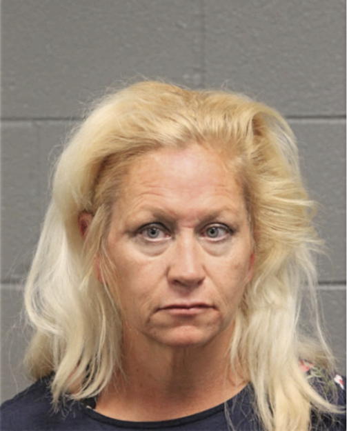 ANN L STAFFORD, Cook County, Illinois