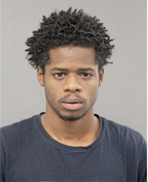 LAMONT D STANTON, Cook County, Illinois