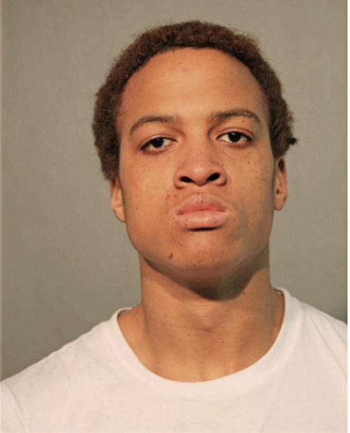 ANDRE D TRIPP, Cook County, Illinois
