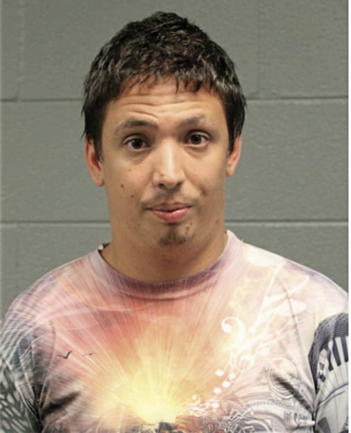 BRANDON A VENEMAN, Cook County, Illinois
